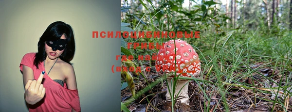 дурь Алзамай