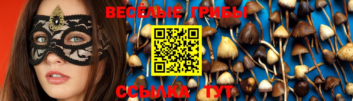 Псилоцибиновые грибы Psilocybine cubensis Сатка